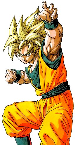 goku16.jpg